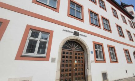 Selbstanzeige wegen Politikerbeleidigung