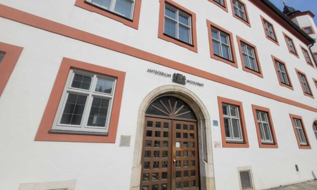 Selbstanzeige wegen Politikerbeleidigung