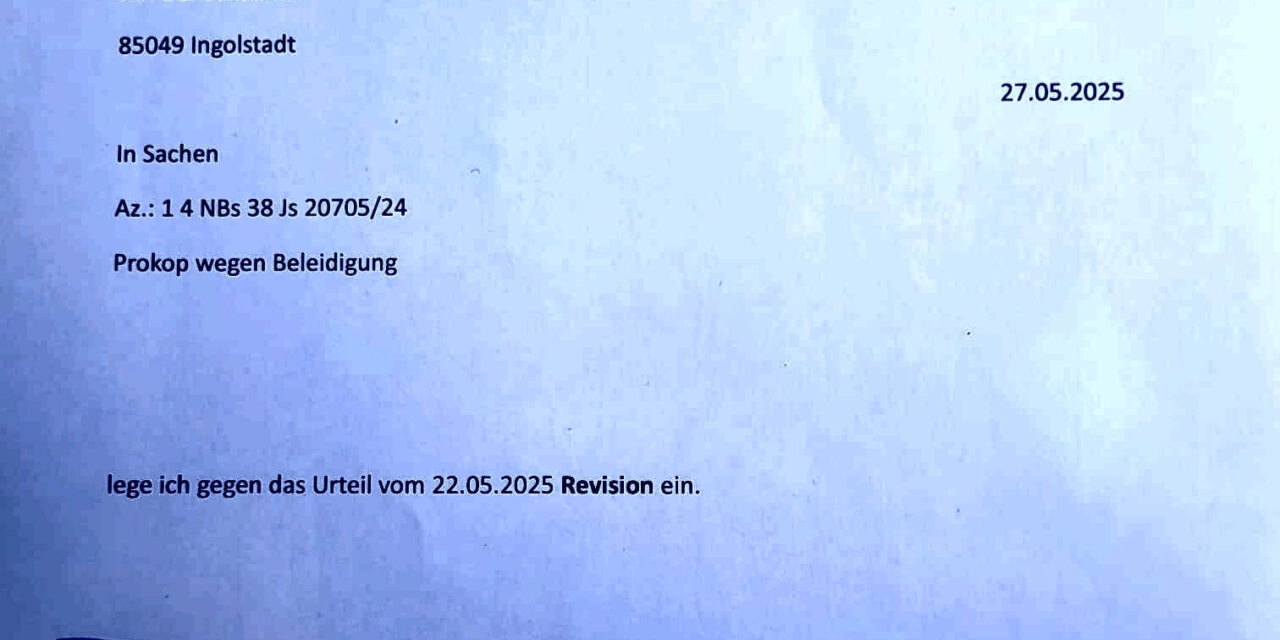 Revision gegen Landgerichtsurteil